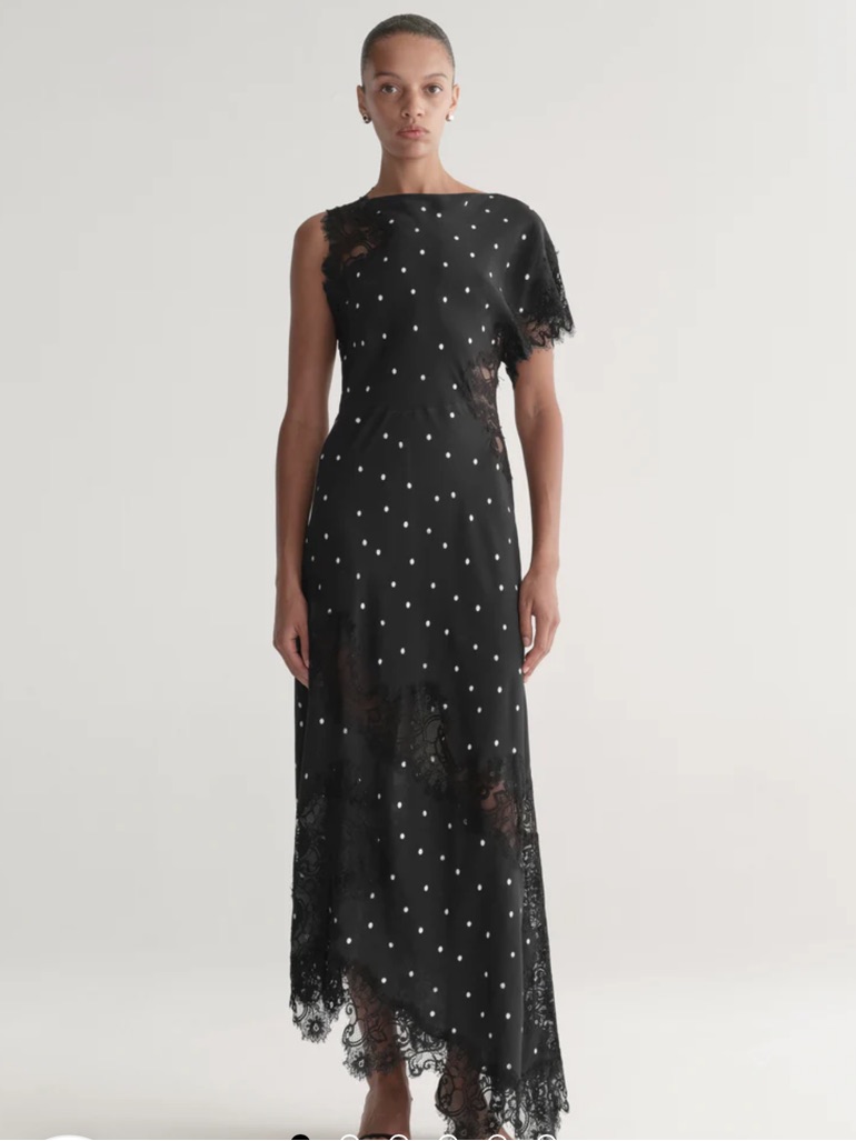 A.L.C | Nwot! Alessia Polka Dot Crepe And Lace Maxi Dress Size: 2